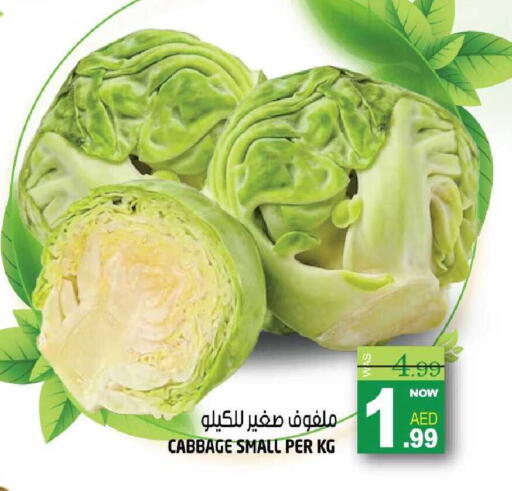 Cabbage available at هاشم هايبرماركت in الإمارات العربية المتحدة , الامارات - الشارقة / عجمان