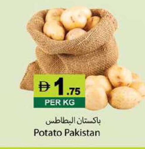 Potato from Pakistan available at زين مارت سوبرماركت in الإمارات العربية المتحدة , الامارات - رَأْس ٱلْخَيْمَة