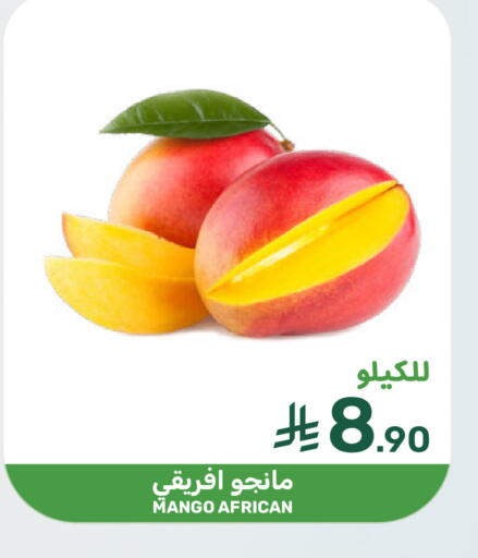 Mango available at Mazaya in KSA, Saudi Arabia, Saudi - Saihat
