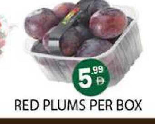 Plums available at زين مارت سوبرماركت in الإمارات العربية المتحدة , الامارات - رَأْس ٱلْخَيْمَة