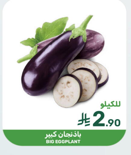 Eggplant available at Mazaya in KSA, Saudi Arabia, Saudi - Qatif