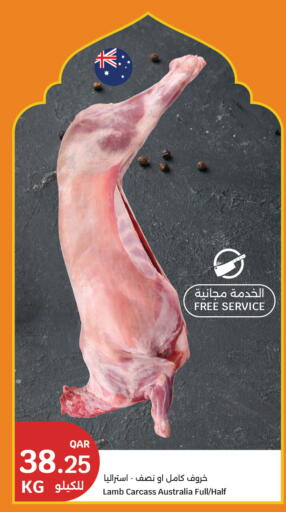 available at سيتي هايبرماركت in قطر - الضعاين