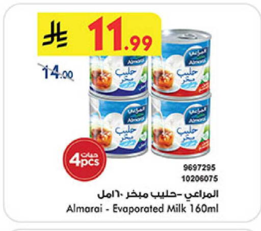 available at بن داود in مملكة العربية السعودية, السعودية, سعودية - المدينة المنورة