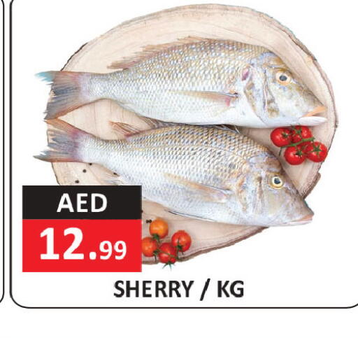 available at ريفييرا سوبرماركت in الإمارات العربية المتحدة , الامارات - أبو ظبي