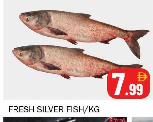 available at سوق المبارك هايبرماركت in الإمارات العربية المتحدة , الامارات - الشارقة / عجمان