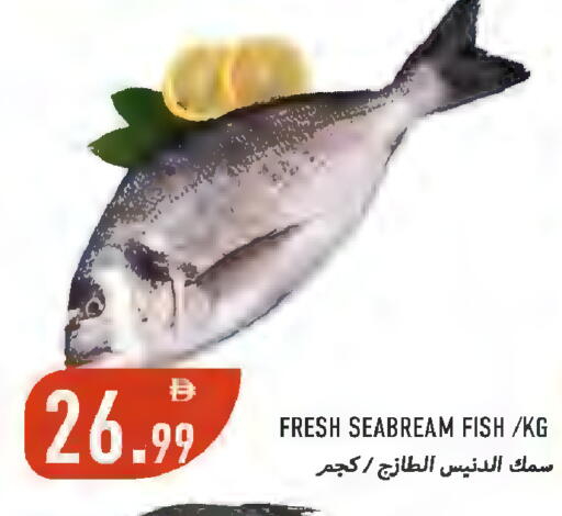 available at  روابي ماركت عجمان in الإمارات العربية المتحدة , الامارات - الشارقة / عجمان