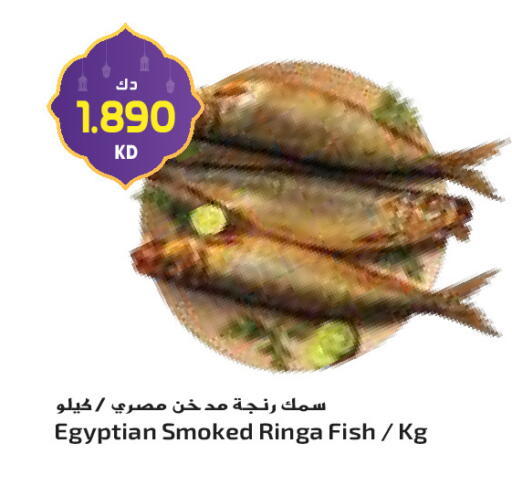 available at جراند كوستو in الكويت - محافظة الأحمدي