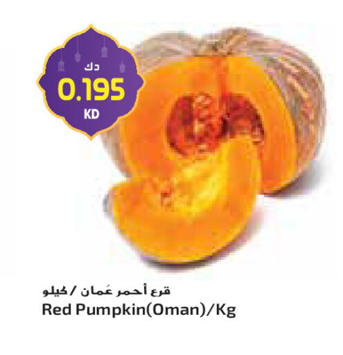 Pumpkin from Oman available at جراند كوستو in الكويت - مدينة الكويت