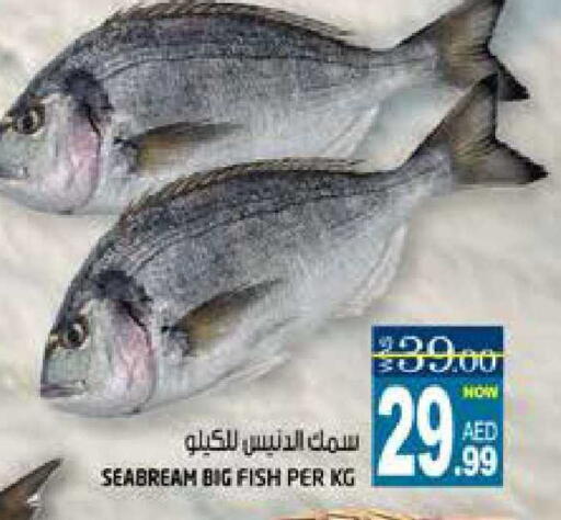 available at هاشم هايبرماركت in الإمارات العربية المتحدة , الامارات - الشارقة / عجمان