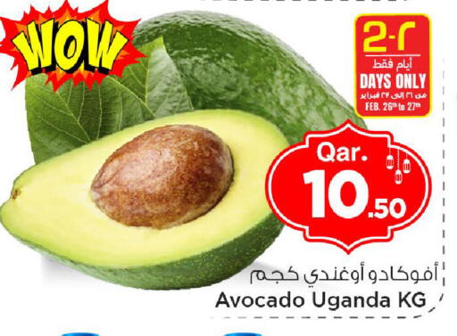 Avocado from Uganda available at مارك & سيف in قطر - الوكرة