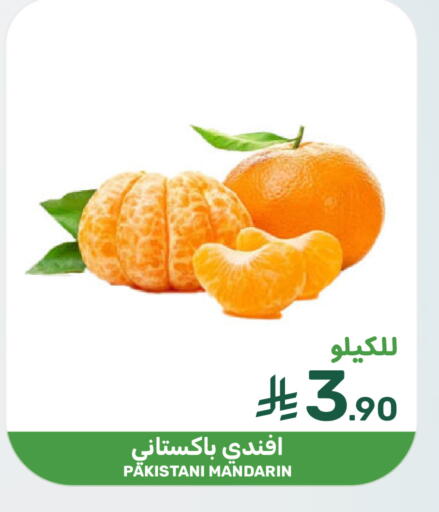 Mandarin from Pakistan available at Mazaya in KSA, Saudi Arabia, Saudi - Qatif