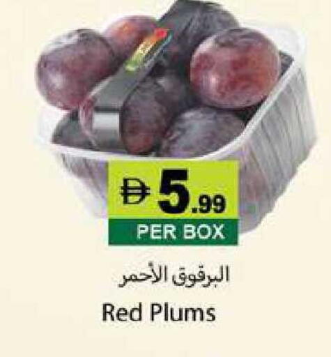 Plums available at زين مارت سوبرماركت in الإمارات العربية المتحدة , الامارات - رَأْس ٱلْخَيْمَة