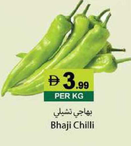 Chilli available at زين مارت سوبرماركت in الإمارات العربية المتحدة , الامارات - رَأْس ٱلْخَيْمَة