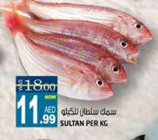 available at هاشم هايبرماركت in الإمارات العربية المتحدة , الامارات - الشارقة / عجمان