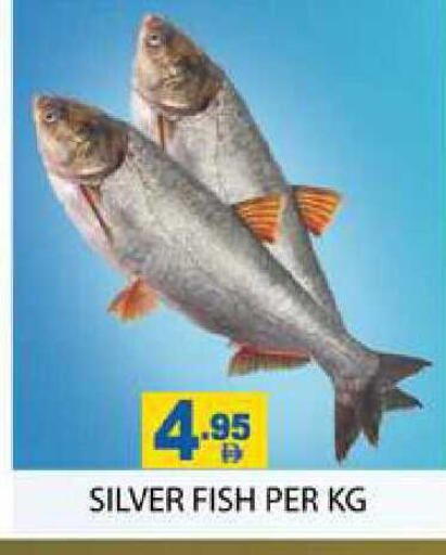 available at زين مارت سوبرماركت in الإمارات العربية المتحدة , الامارات - رَأْس ٱلْخَيْمَة