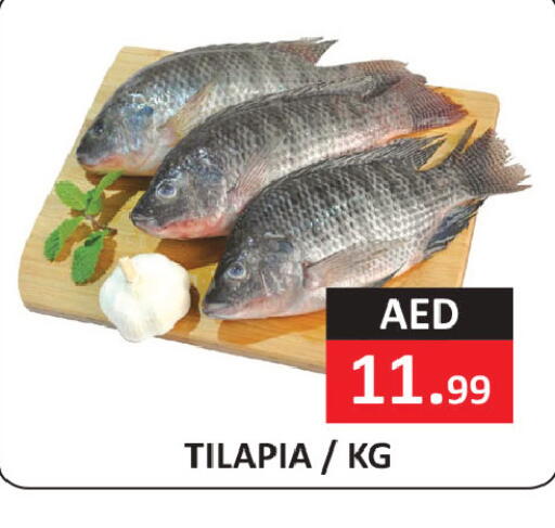available at ريفييرا سوبرماركت in الإمارات العربية المتحدة , الامارات - أبو ظبي