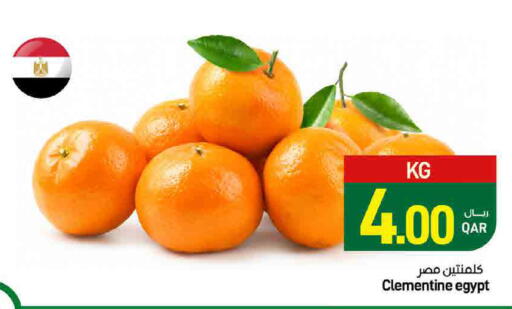 from Egypt available at ســبــار in قطر - الدوحة