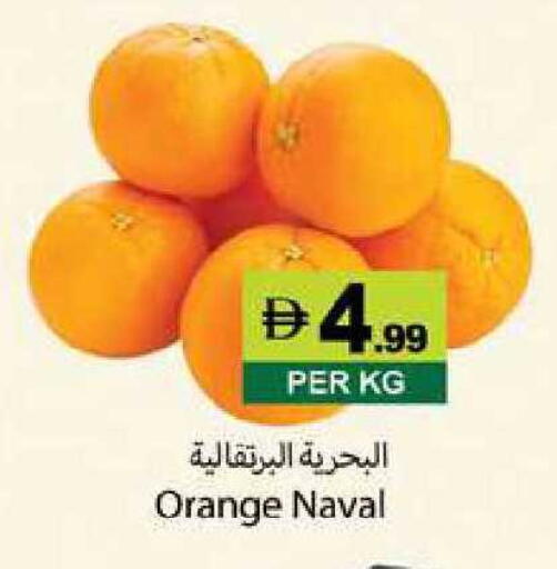 Orange available at زين مارت سوبرماركت in الإمارات العربية المتحدة , الامارات - رَأْس ٱلْخَيْمَة