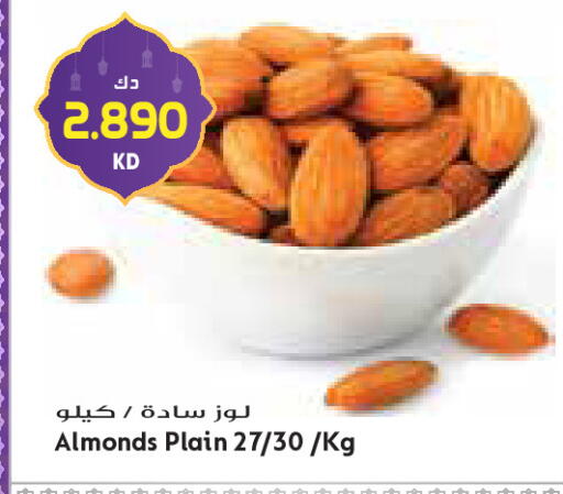 available at جراند كوستو in الكويت - مدينة الكويت