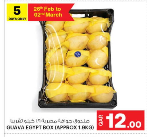 Guava from Egypt available at أنصار جاليري in قطر - الضعاين