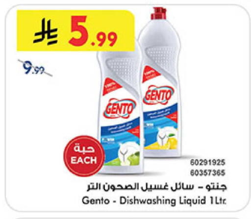 available at بن داود in مملكة العربية السعودية, السعودية, سعودية - المدينة المنورة