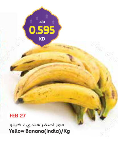Banana from India available at جراند هايبر in الكويت - محافظة الجهراء