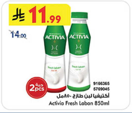 available at بن داود in مملكة العربية السعودية, السعودية, سعودية - المدينة المنورة