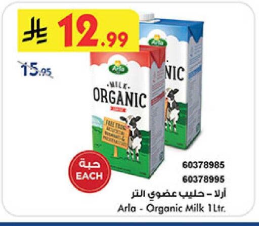 available at بن داود in مملكة العربية السعودية, السعودية, سعودية - المدينة المنورة