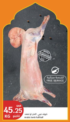 available at سيتي هايبرماركت in قطر - الضعاين