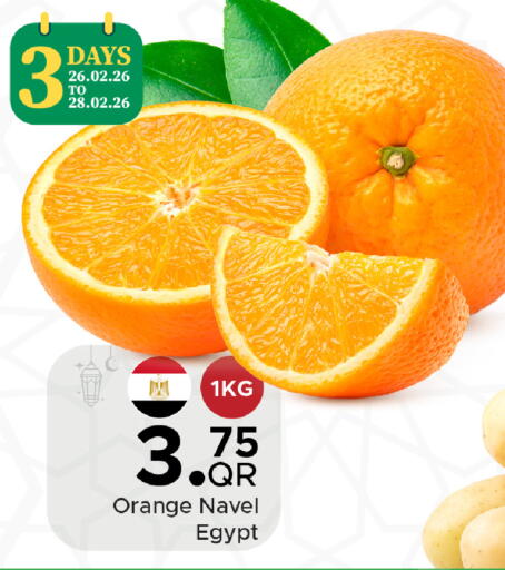 Orange from Egypt available at مركز التموين العائلي in قطر - الريان