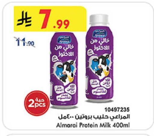 available at بن داود in مملكة العربية السعودية, السعودية, سعودية - المدينة المنورة