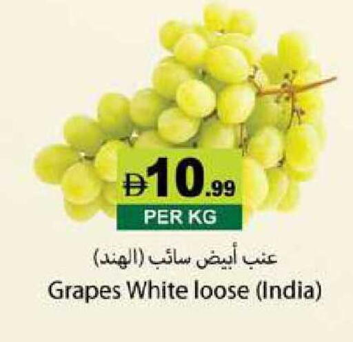 Grapes from India available at زين مارت سوبرماركت in الإمارات العربية المتحدة , الامارات - رَأْس ٱلْخَيْمَة