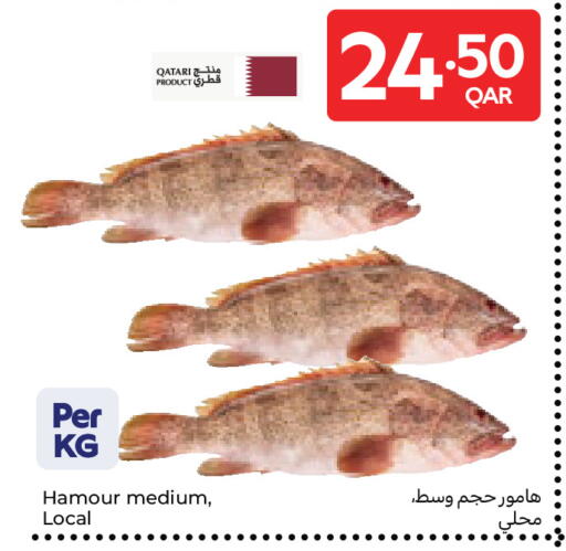 available at Carrefour in Qatar - Al Daayen