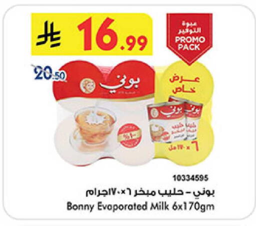 available at بن داود in مملكة العربية السعودية, السعودية, سعودية - المدينة المنورة