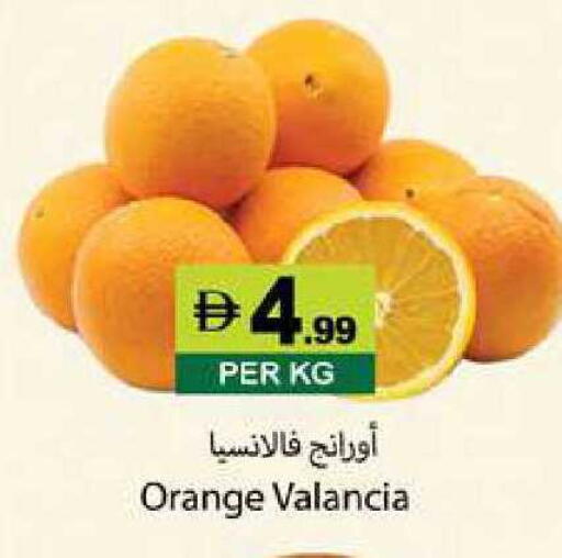 Orange from Valancia available at زين مارت سوبرماركت in الإمارات العربية المتحدة , الامارات - رَأْس ٱلْخَيْمَة