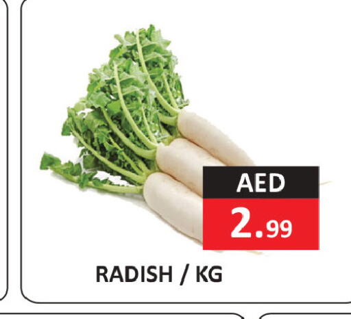 Radish available at ريفييرا سوبرماركت in الإمارات العربية المتحدة , الامارات - أبو ظبي