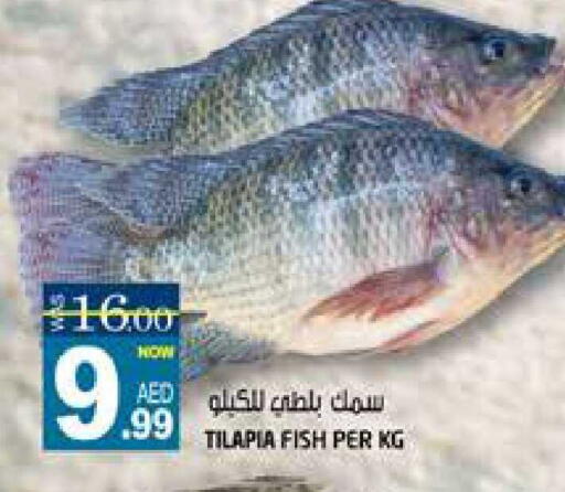 available at هاشم هايبرماركت in الإمارات العربية المتحدة , الامارات - الشارقة / عجمان