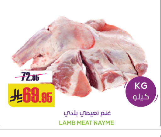 available at سبت in مملكة العربية السعودية, السعودية, سعودية - بريدة