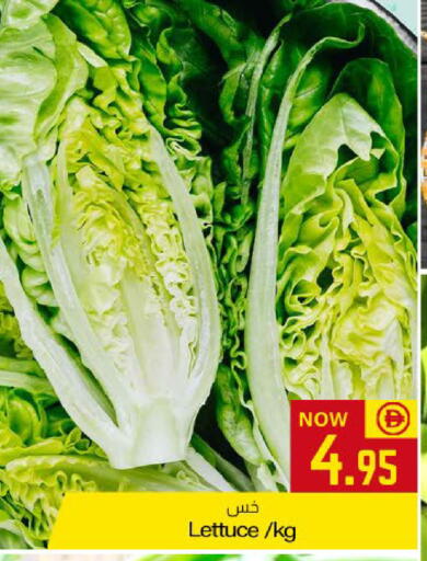 Lettuce available at Meem Sajidha in UAE - Fujairah