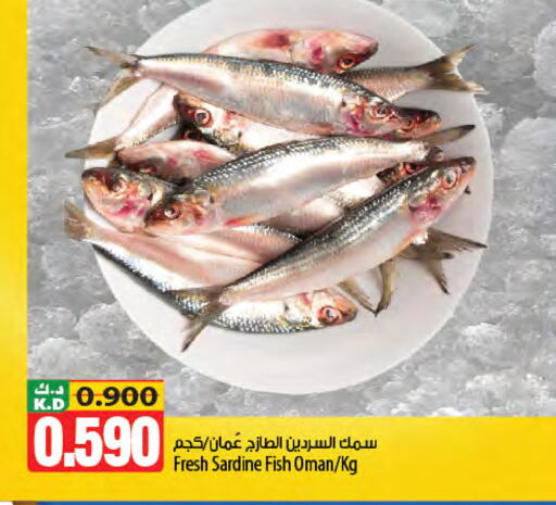 Mango available at Mango Hypermarket  in Kuwait - Jahra Governorate