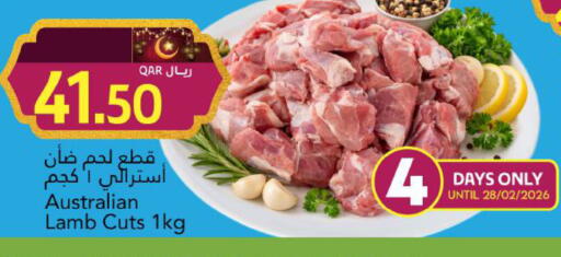 available at جلف فود سنتر in قطر - الضعاين