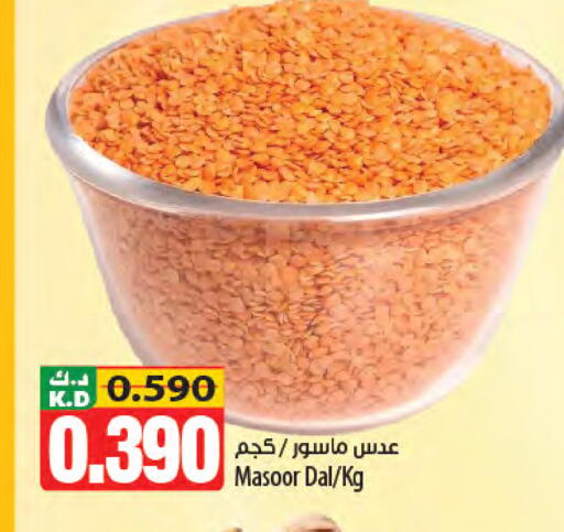 Mango available at مانجو هايبرماركت in الكويت - محافظة الجهراء