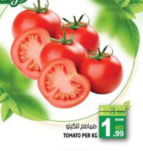 Tomato available at هاشم هايبرماركت in الإمارات العربية المتحدة , الامارات - الشارقة / عجمان