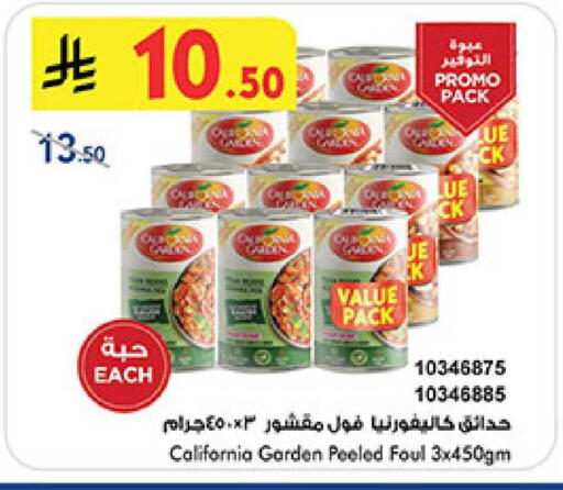 available at بن داود in مملكة العربية السعودية, السعودية, سعودية - المدينة المنورة