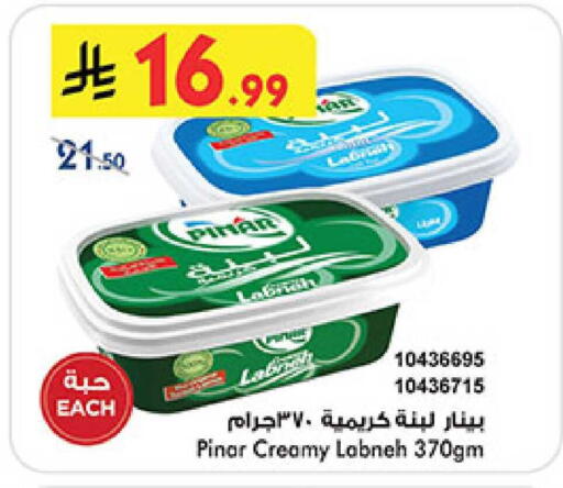 available at بن داود in مملكة العربية السعودية, السعودية, سعودية - المدينة المنورة