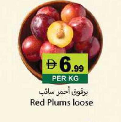 Plums available at زين مارت سوبرماركت in الإمارات العربية المتحدة , الامارات - رَأْس ٱلْخَيْمَة