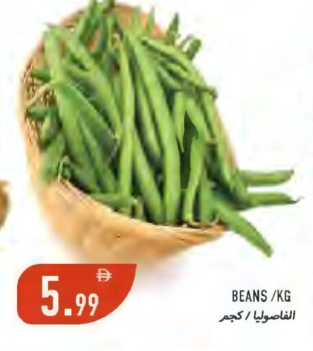 available at  روابي ماركت عجمان in الإمارات العربية المتحدة , الامارات - الشارقة / عجمان