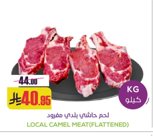 available at سبت in مملكة العربية السعودية, السعودية, سعودية - بريدة