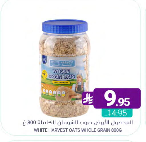 available at Muntazah Markets in KSA, Saudi Arabia, Saudi - Qatif