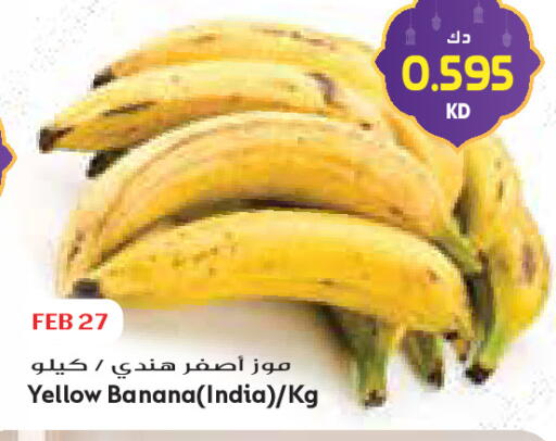 Banana from India available at Grand Costo in Kuwait - Ahmadi Governorate